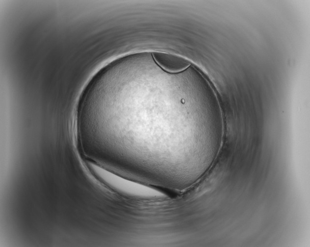 X0000093441515200710261029