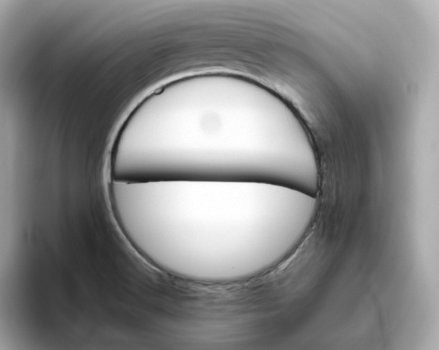 X0000093441516200710261029
