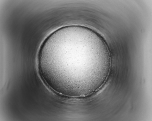 X0000093441517200710261029