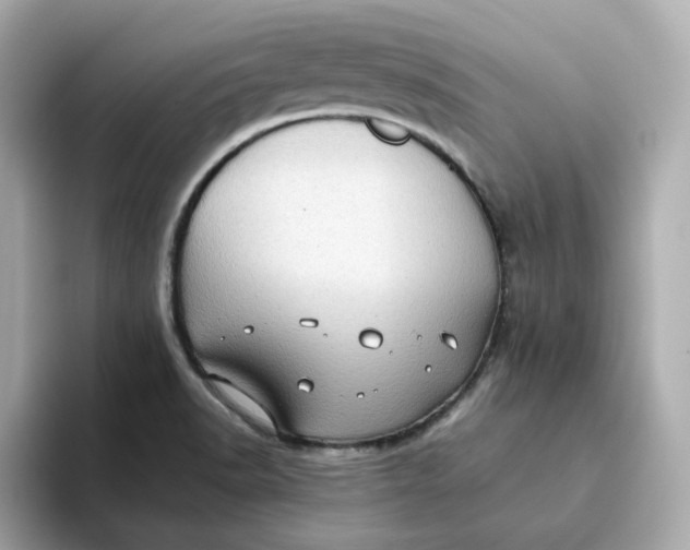 X0000093441518200710261029