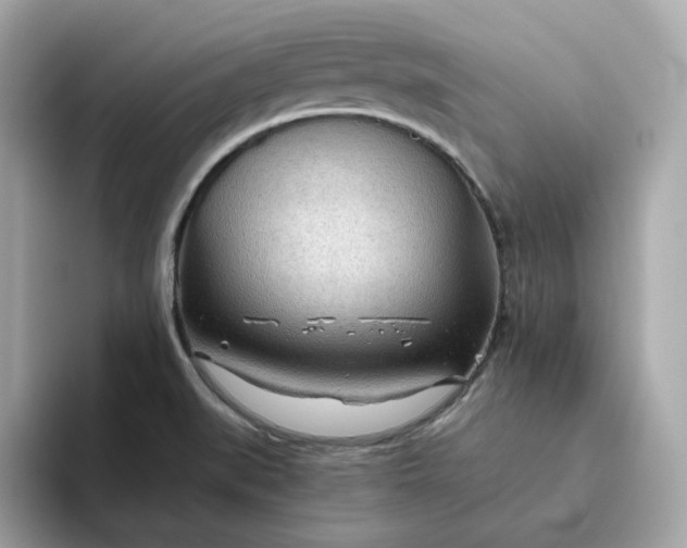 X0000093441519200710261029