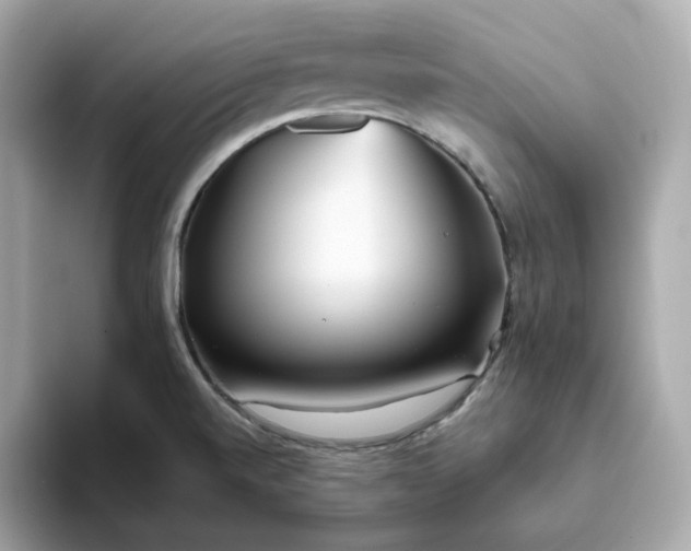 X0000093441520200710261029