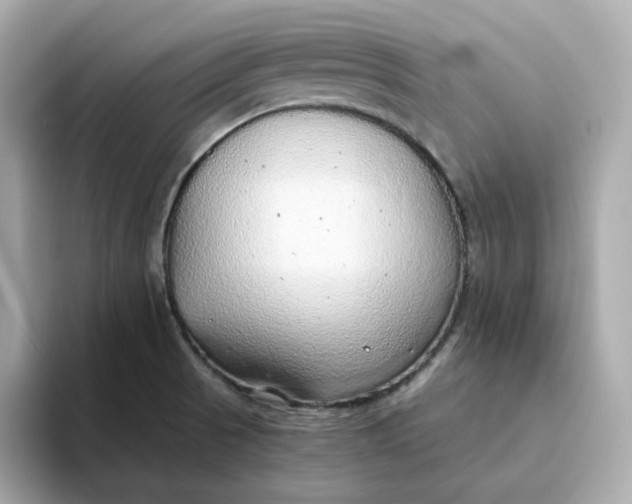 X0000093441521200710261029