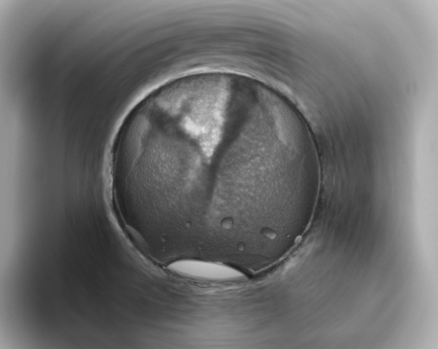 X0000093441522200710261029