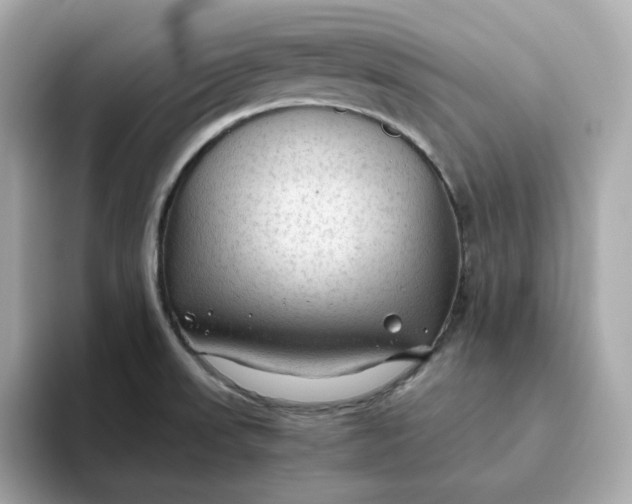 X0000093441523200710261029