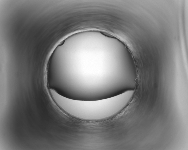 X0000093441524200710261029