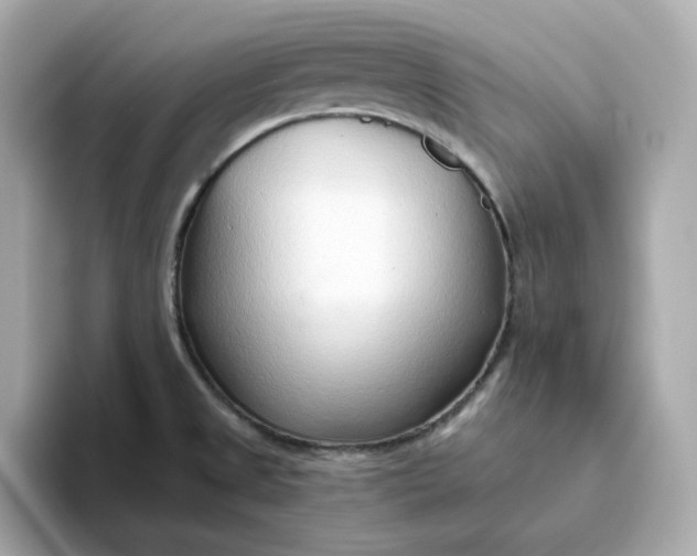 X0000093441525200710261029