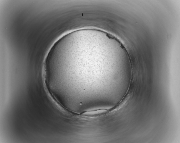 X0000093441526200710261029