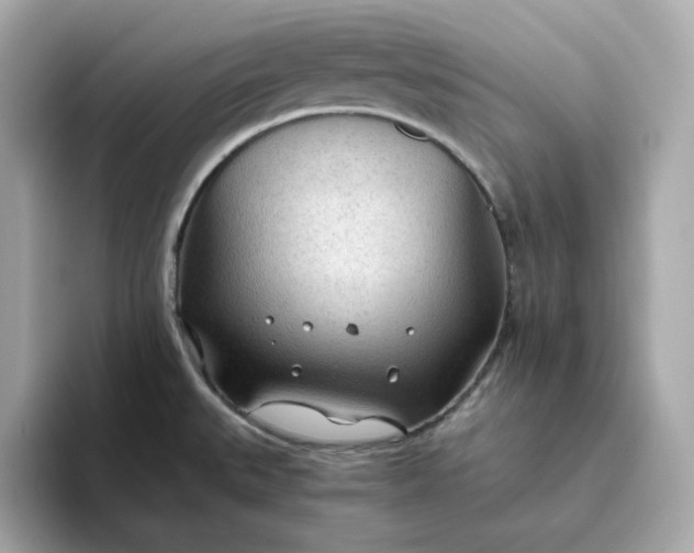 X0000093441527200710261029