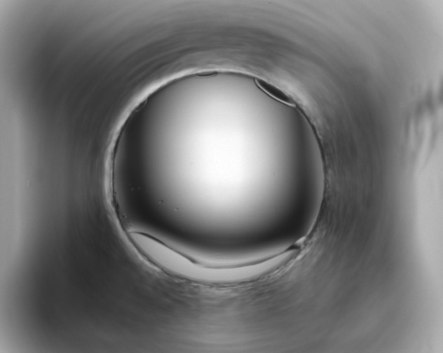 X0000093441528200710261029