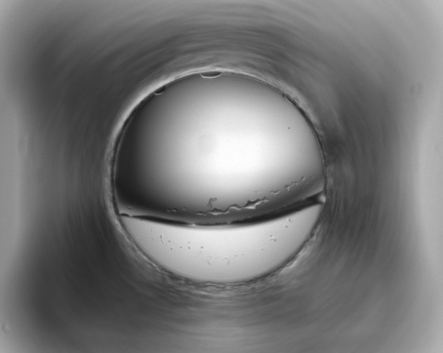 X0000093441530200710261029