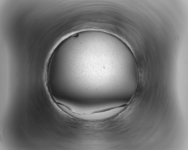 X0000093441531200710261029