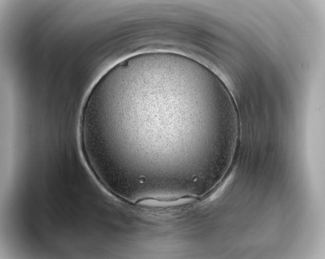 X0000093441533200710261030