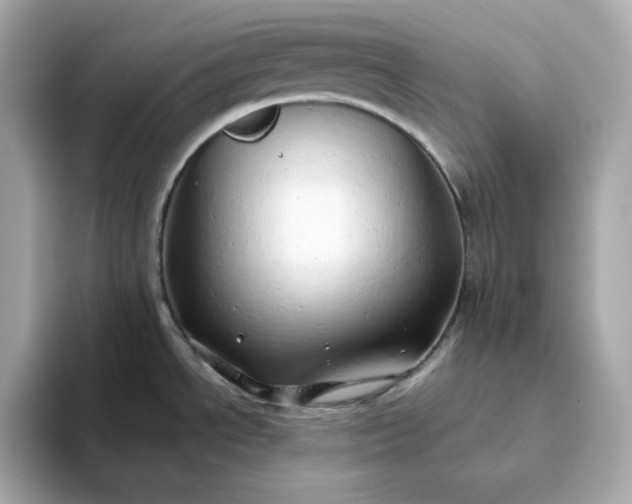 X0000093441534200710261030