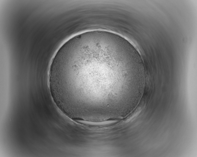 X0000093441535200710261030