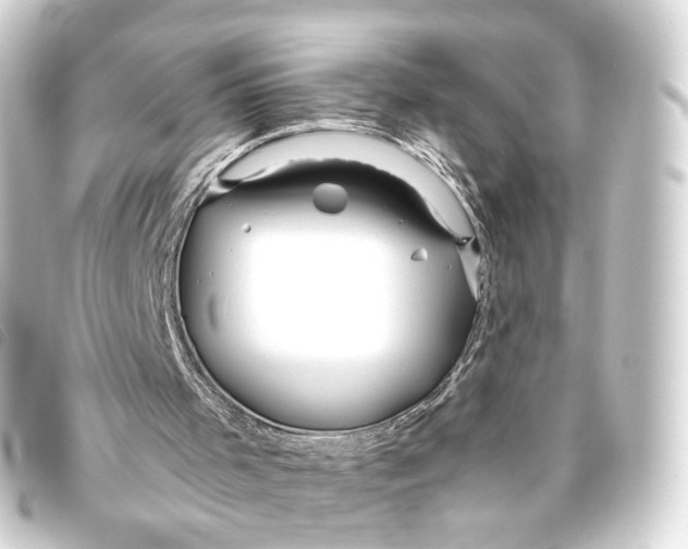 X0000093440001200711021103