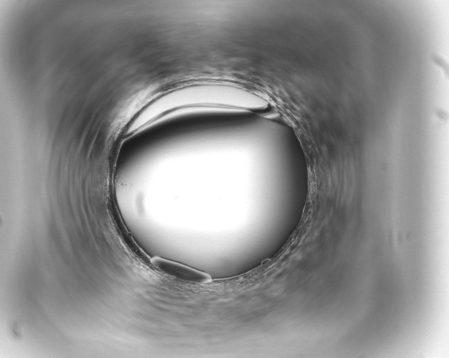 X0000093440005200711021103