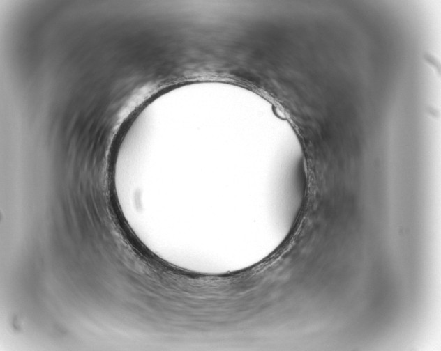 X0000093440008200711021103