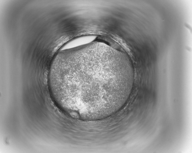 X0000093440010200711021103