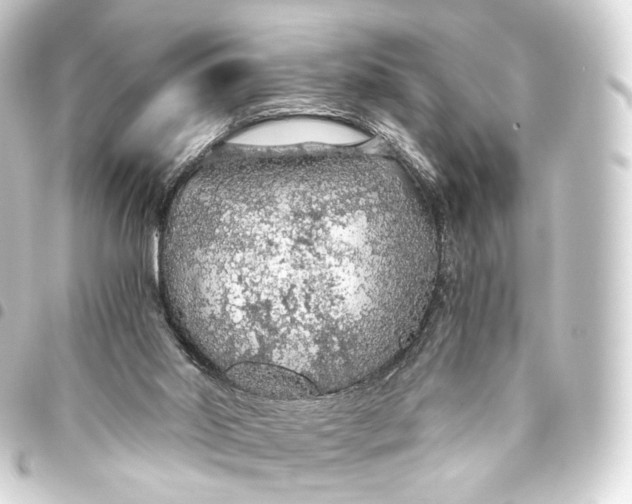 X0000093440014200711021103