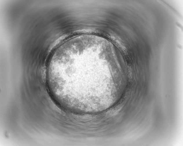 X0000093440016200711021103