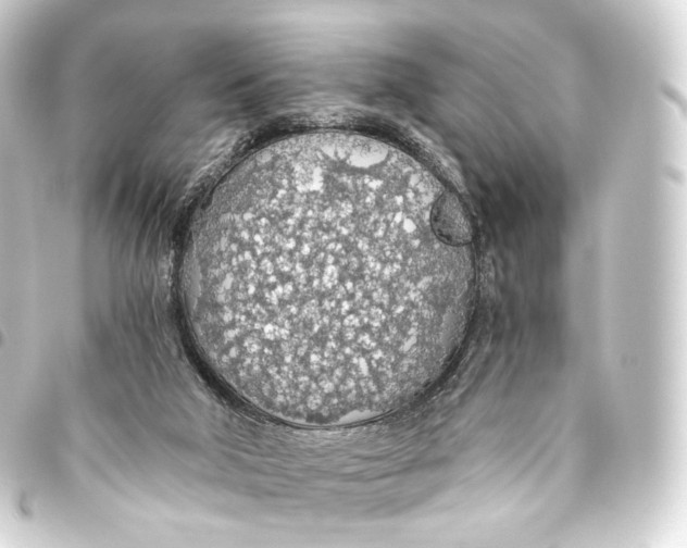 X0000093440018200711021103