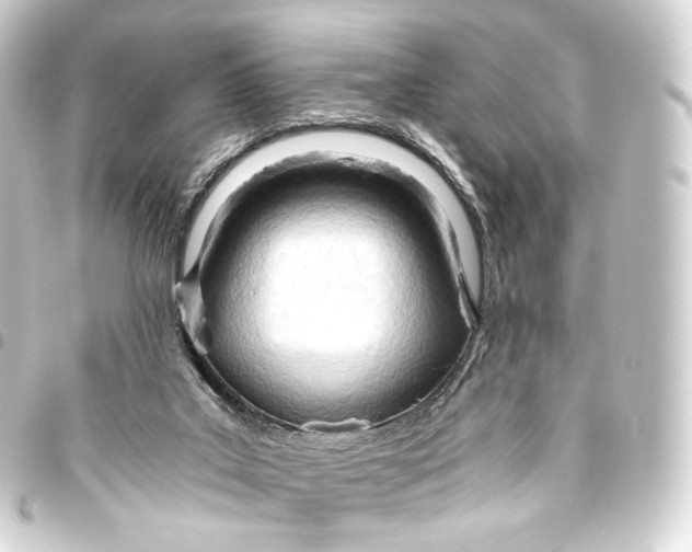 X0000093440019200711021103