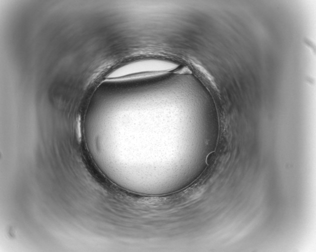 X0000093440020200711021103