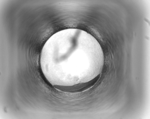 X0000093440023200711021103