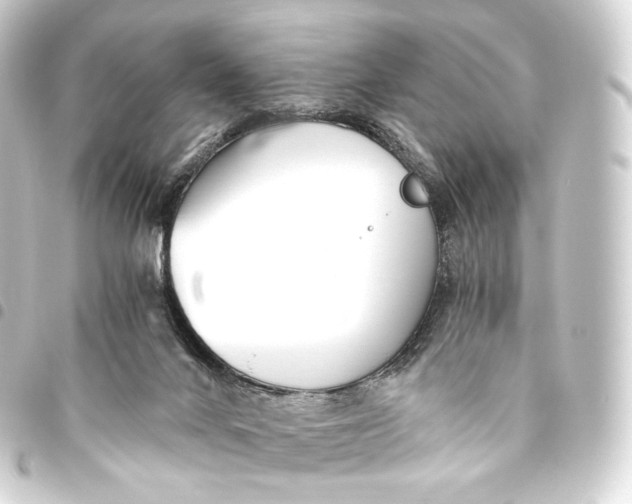 X0000093440024200711021103