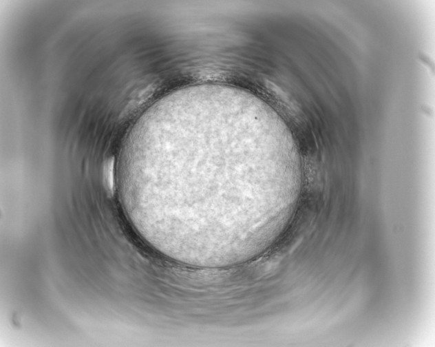 X0000093440028200711021102