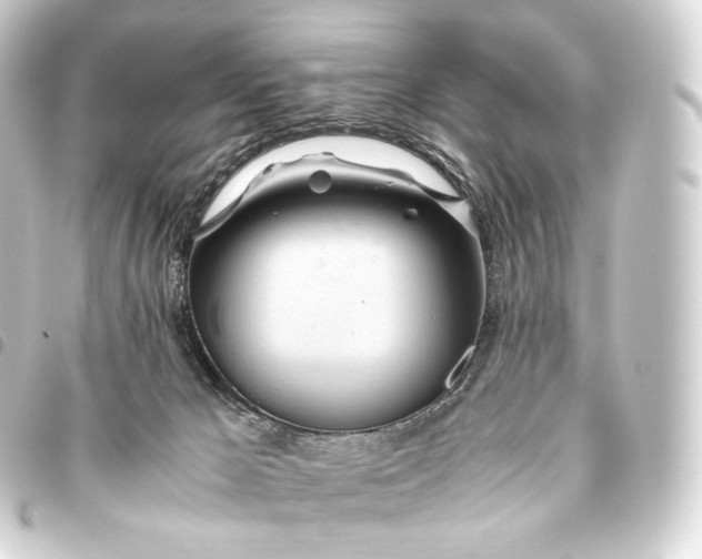 X0000093440029200711021102