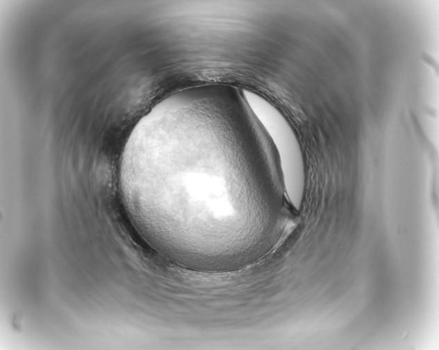 X0000093440031200711021102