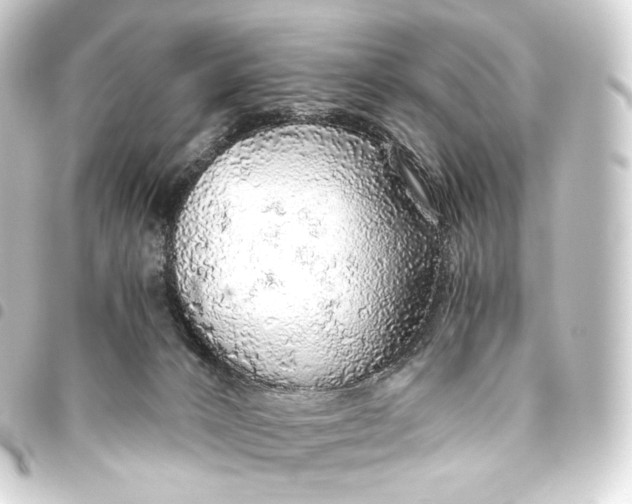 X0000093440032200711021102