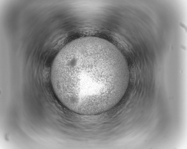 X0000093440034200711021102