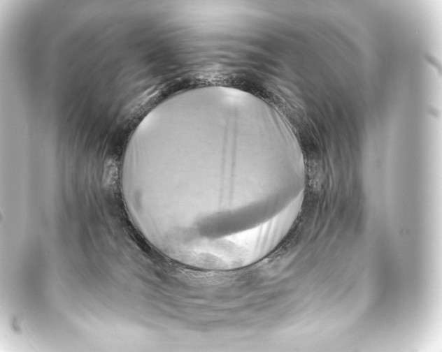 X0000093440036200711021102