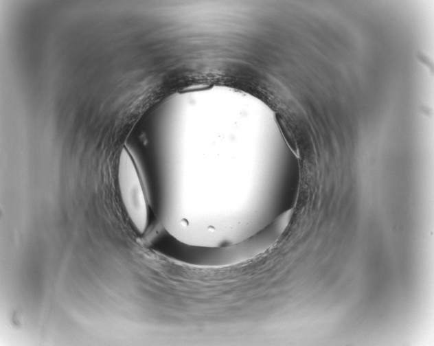 X0000093440037200711021102