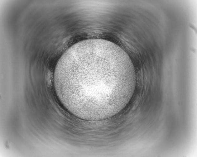 X0000093440038200711021102