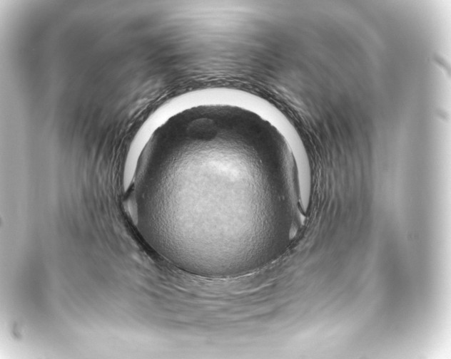 X0000093440039200711021102