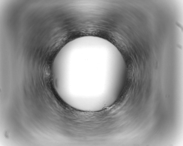 X0000093440040200711021102