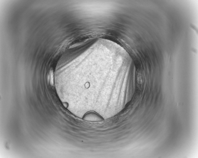 X0000093440046200711021102