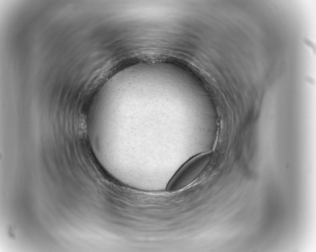 X0000093440048200711021102