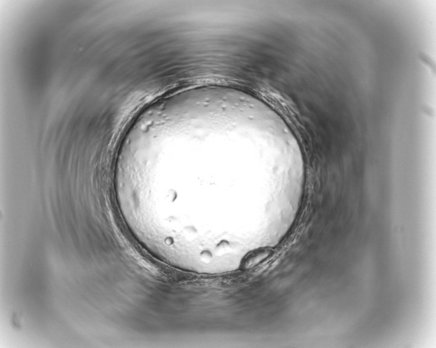 X0000093440049200711021102