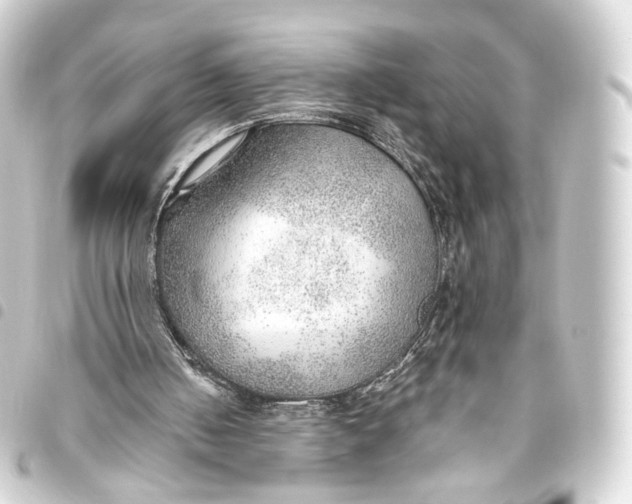 X0000093440050200711021102