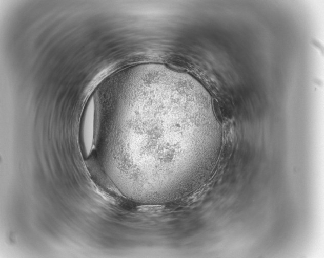 X0000093440051200711021102