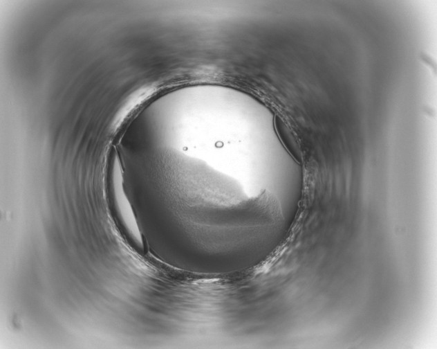 X0000093440054200711021102