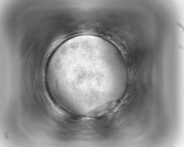 X0000093440055200711021102