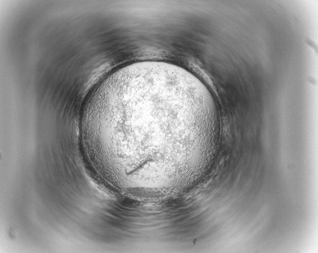 X0000093440059200711021102