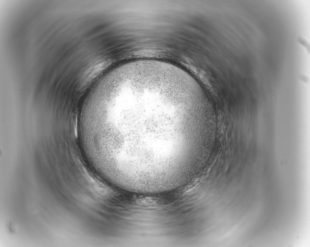 X0000093440062200711021102