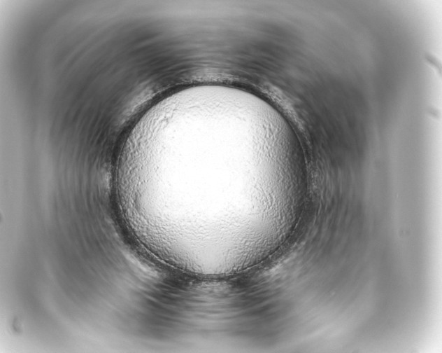 X0000093440063200711021102